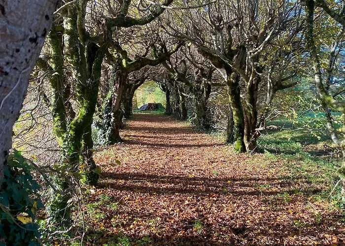 Manoir De - Luxury East Wing * Brillac (Charente)
