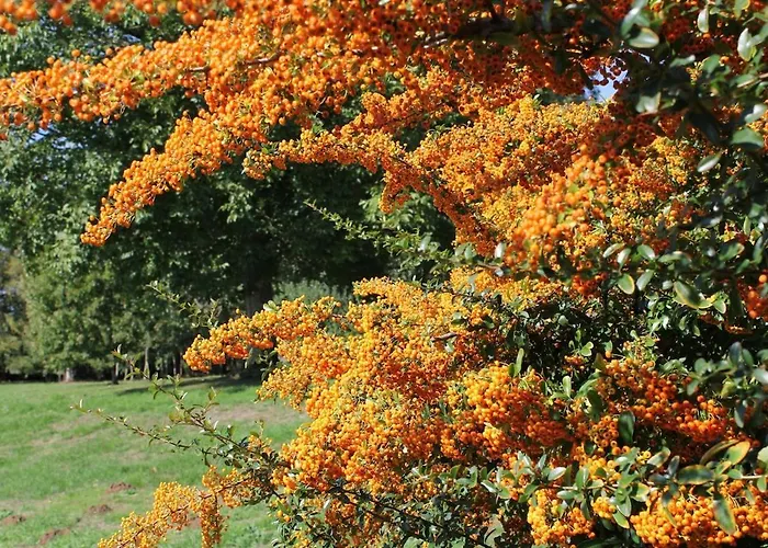 Manoir De - Luxury East Wing Σπίτι διακοπών Brillac (Charente)