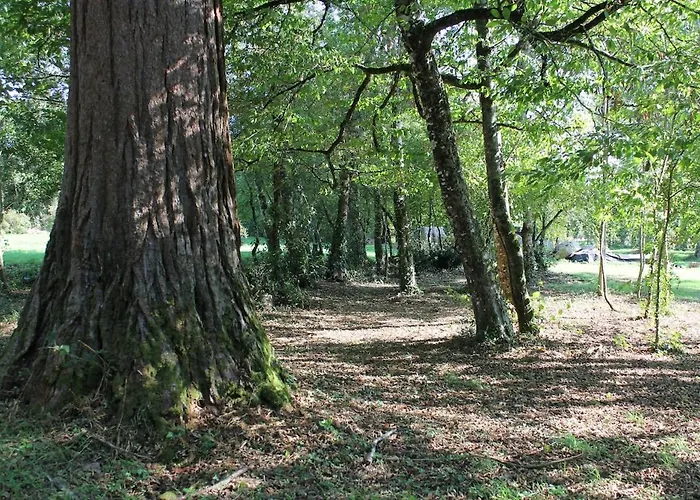 Manoir De - Luxury East Wing *